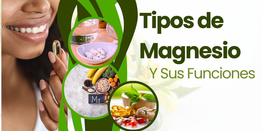 Tipos de Magnesio y sus Funciones